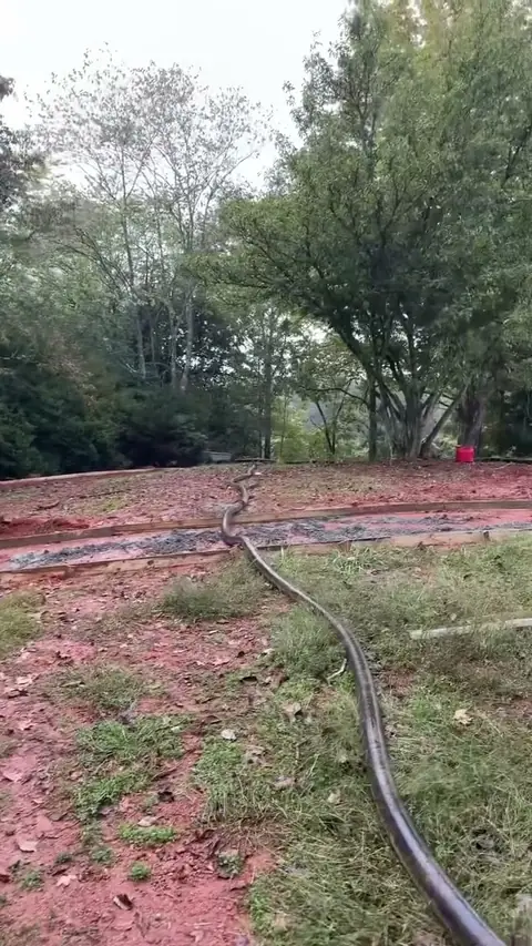 Crew pouring and finishing a concrete driveway