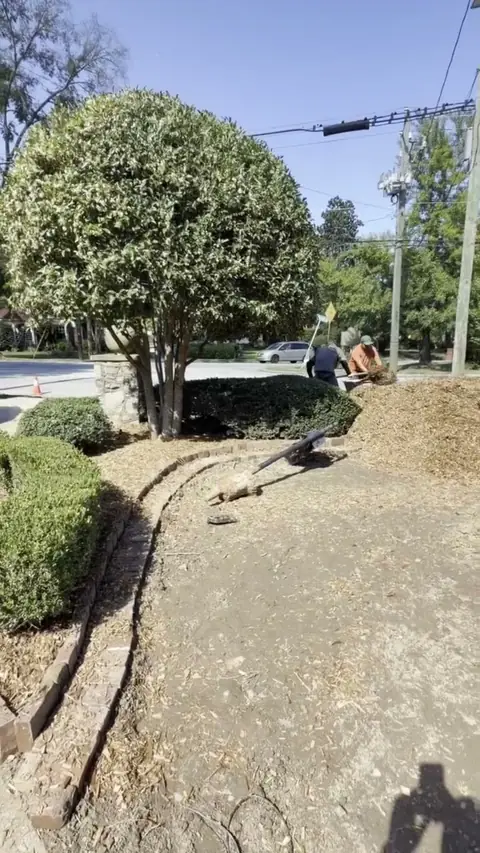 Brick edging being set along a front bed